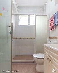 Blk 246 Bishan Street 22 (Bishan), HDB 4 Rooms #638365621